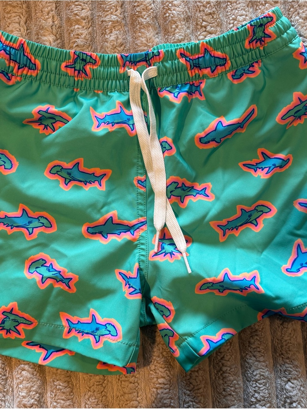 Chubbie Boys Swim Trunks